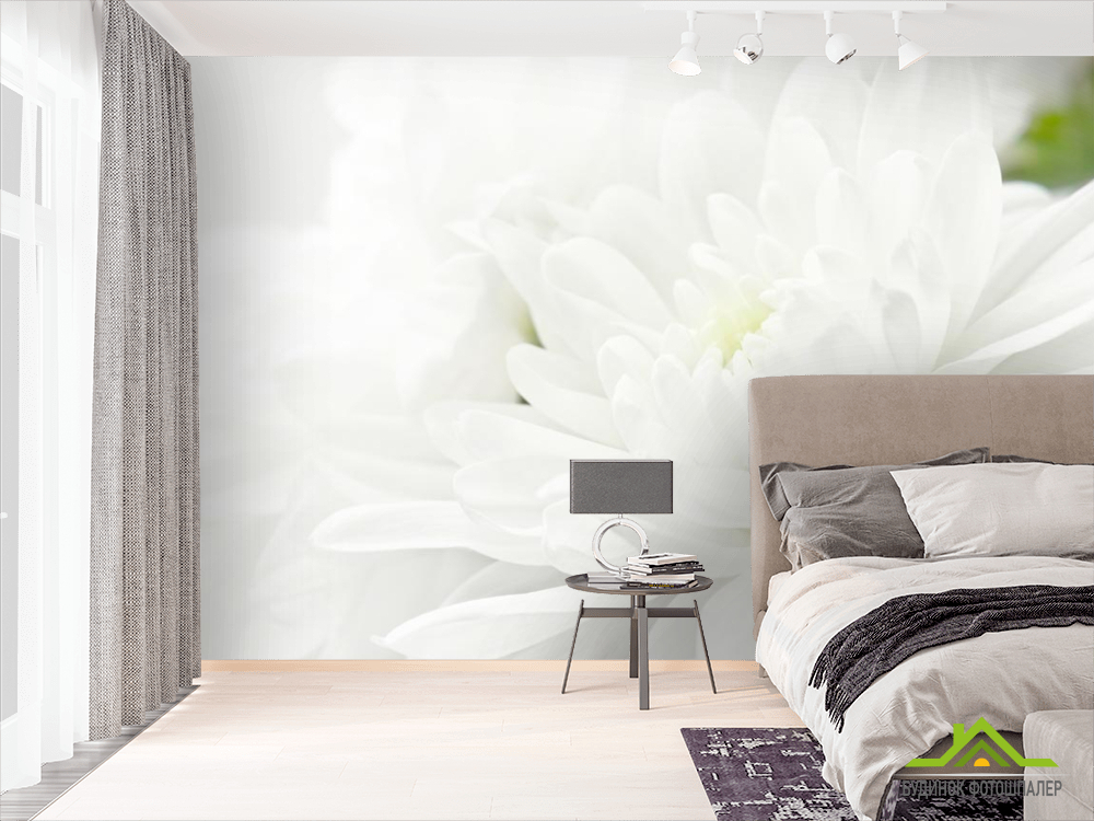 Фотошпалери Білі хризантеми