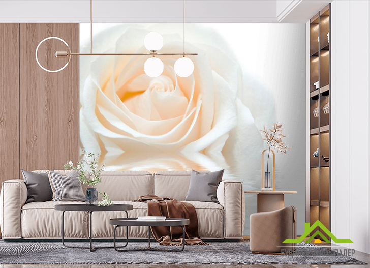 Фотообои Бело-кремовая роза