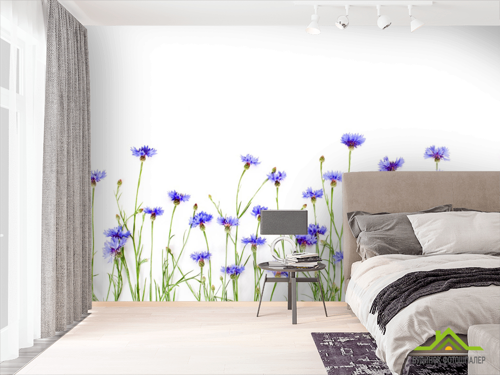 Фотообои Волошки синие
