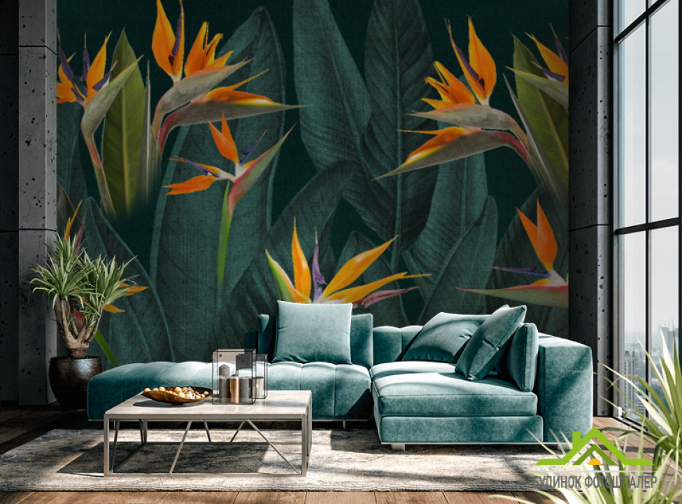 выбрать Фотообои Цветы стрелиции Фотообои тропические листья на стену