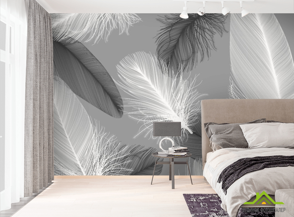 выбрать Фотошпалери в стилі Модерн, пір'я Фотошпалери Модерн на стіну