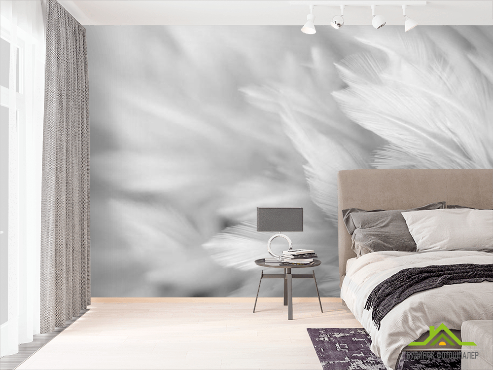 Фотошпалери білі пір'я
