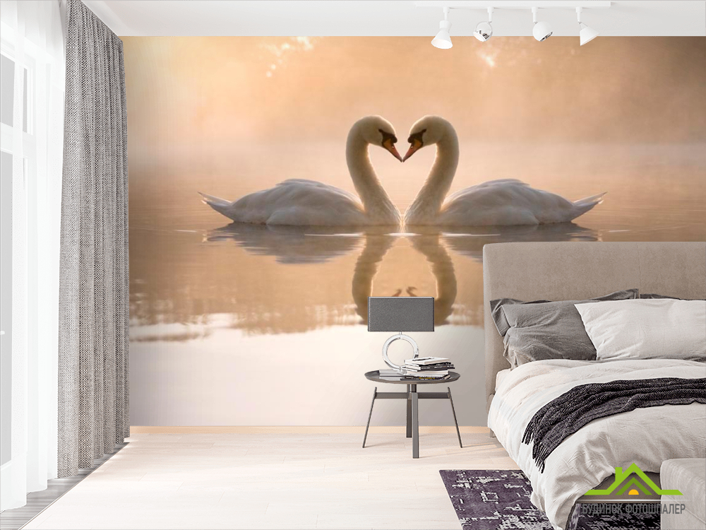 Фотошпалери Пара лебедів