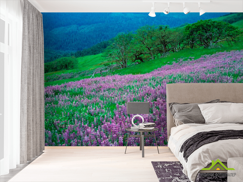 Фотошпалери Гармонія на луці