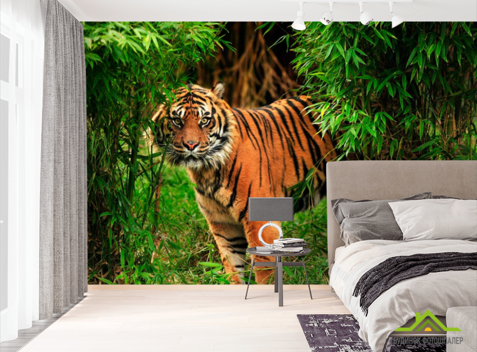 выбрать Фотошпалери Тигр в заростях Фотошпалери Тигри на стіну