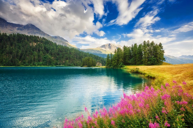 Фотошпалери берег гірської річки