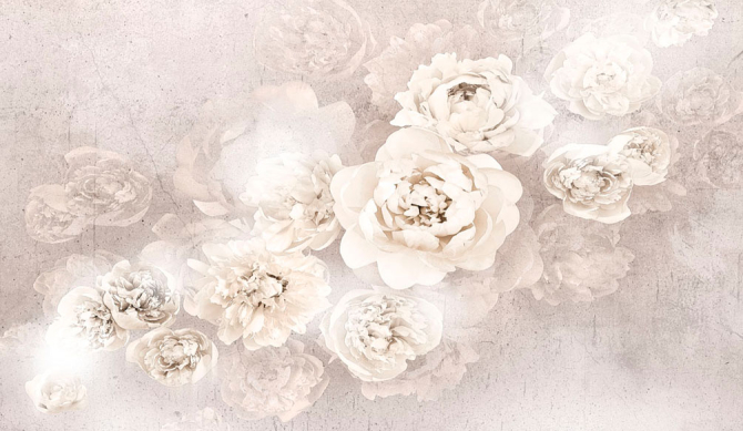 Фотообои Нежные белые пионы