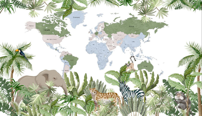 Фотообои Карта детская с тропическим лесом и животными на английском