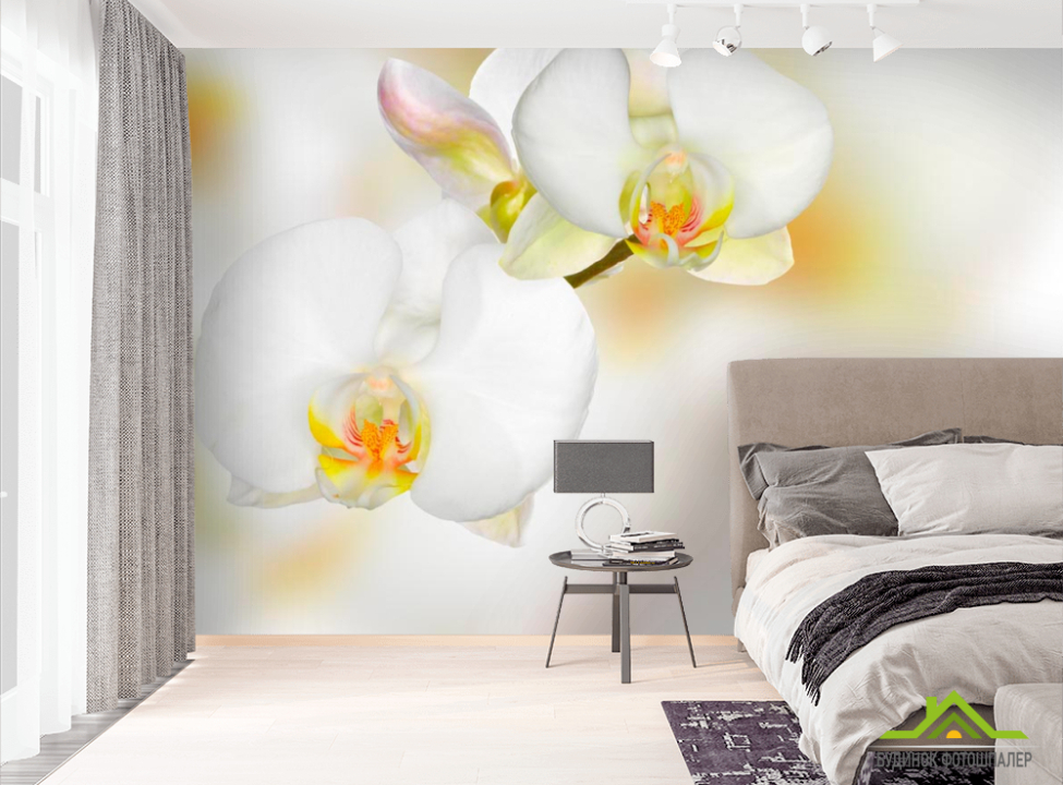 выбрать Фотообои Орхидеи белые с желтым Фотообои Орхидеи на стену
