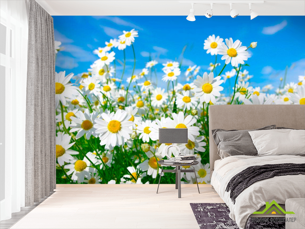 Фотообои Ромашки в степи