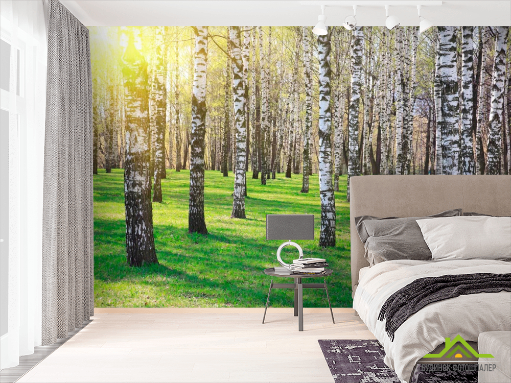 Фотошпалери Ліс, берези, сонце