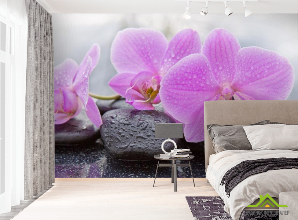 выбрать Фотошпалери камені і орхідеї Фотошпалери Орхідеї на стіну