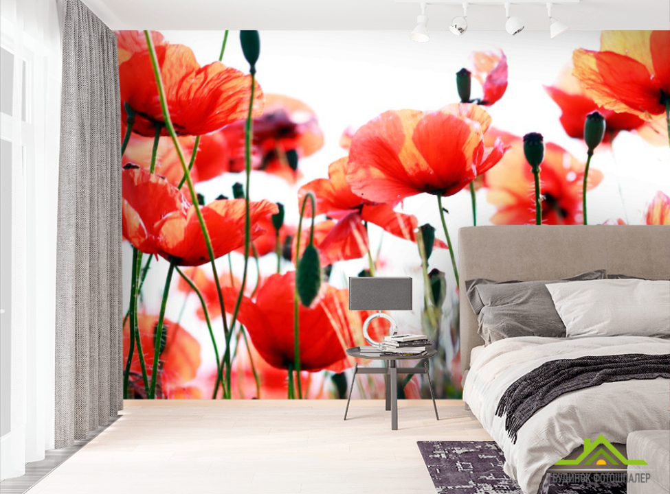 выбрать Фотообои Степные маки распустились Фотообои Маки на стену