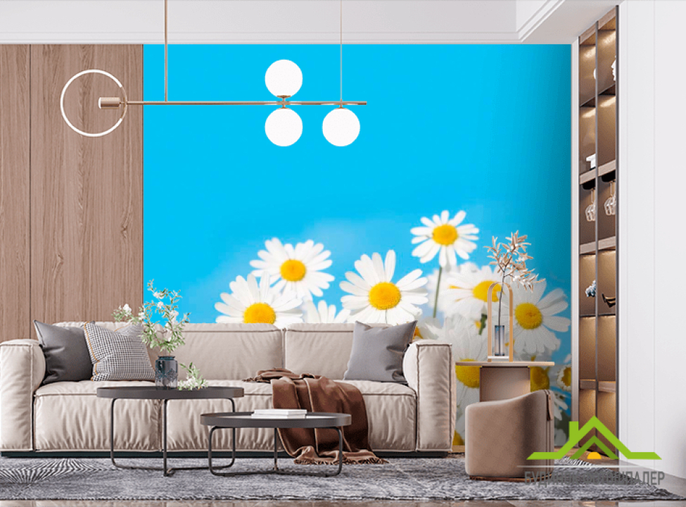 выбрать Фотообои Ромашки под небом Фотообои Ромашки на стену