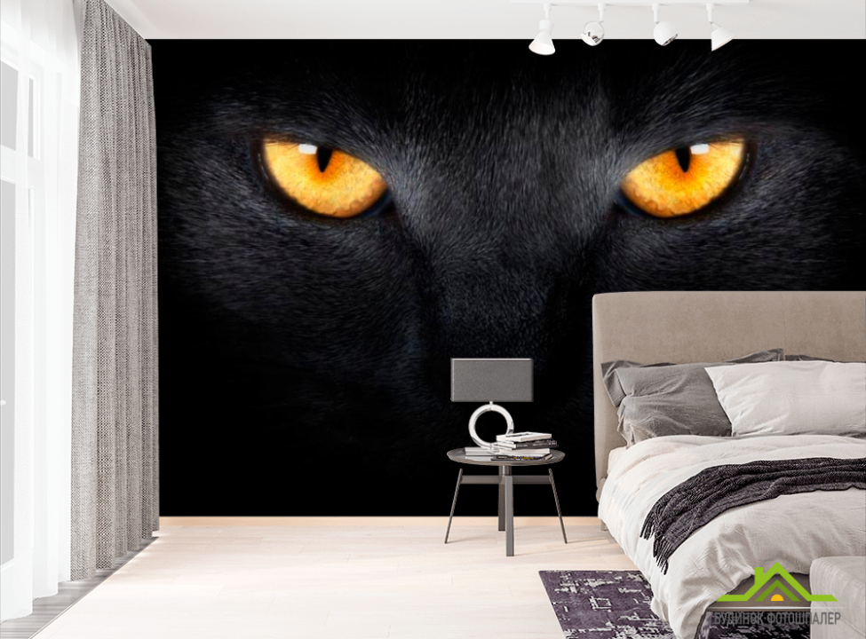 выбрать Фотообои Черная кошка Фотообои Коты на стену