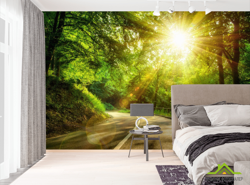 выбрать Фотошпалери Схід у лісі Фотошпалери Природа на стіну