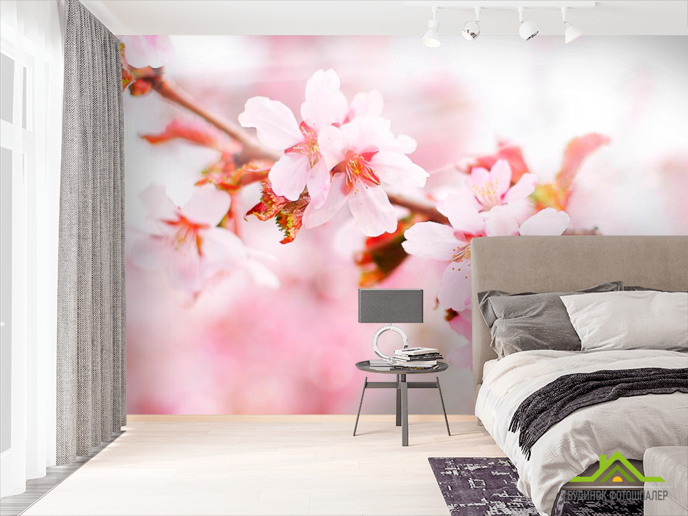 Фотошпалери Квітуча рожеве вишня
