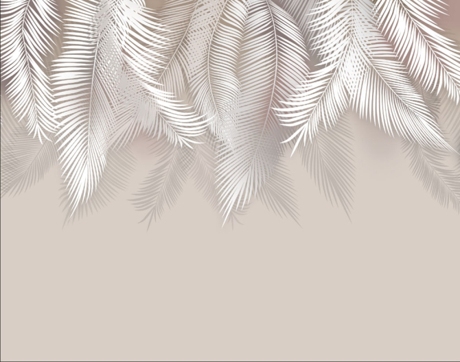 Фотообои Пушистые пальмовые листья на стену