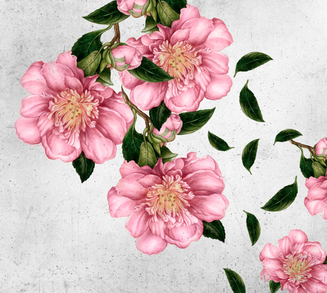 Фотошпалери Мальовані квіти на стіні