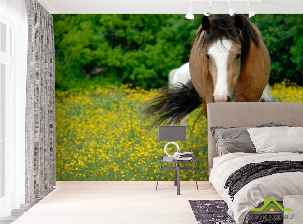 выбрать Фотообои Бег лошади Фотообои Лошади на стену