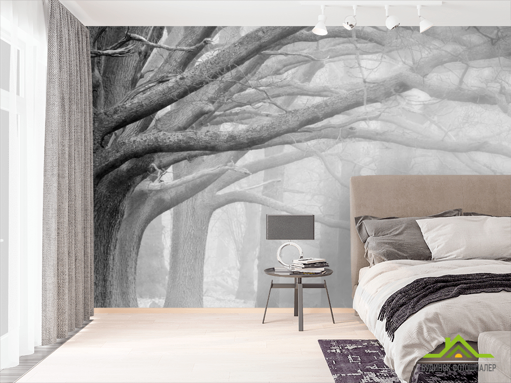 Фотошпалери дерева