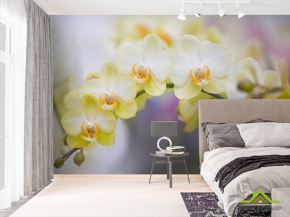Фотошпалери жовті орхідеї