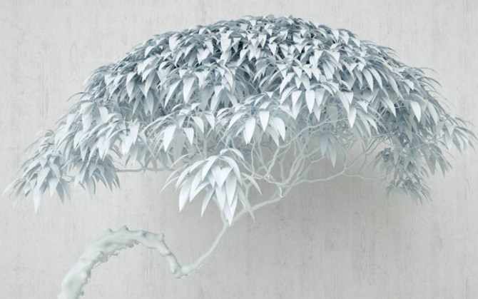 Фотошпалери дерево