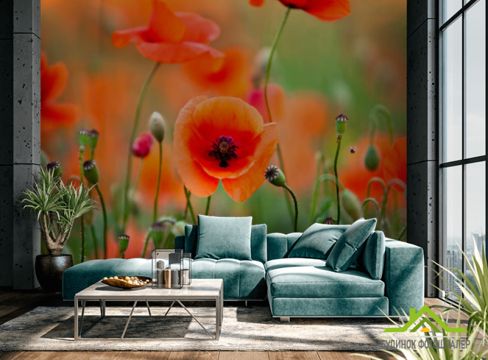 выбрать Фотошпалери Поле і маки Фотошпалери Квіти на стіну