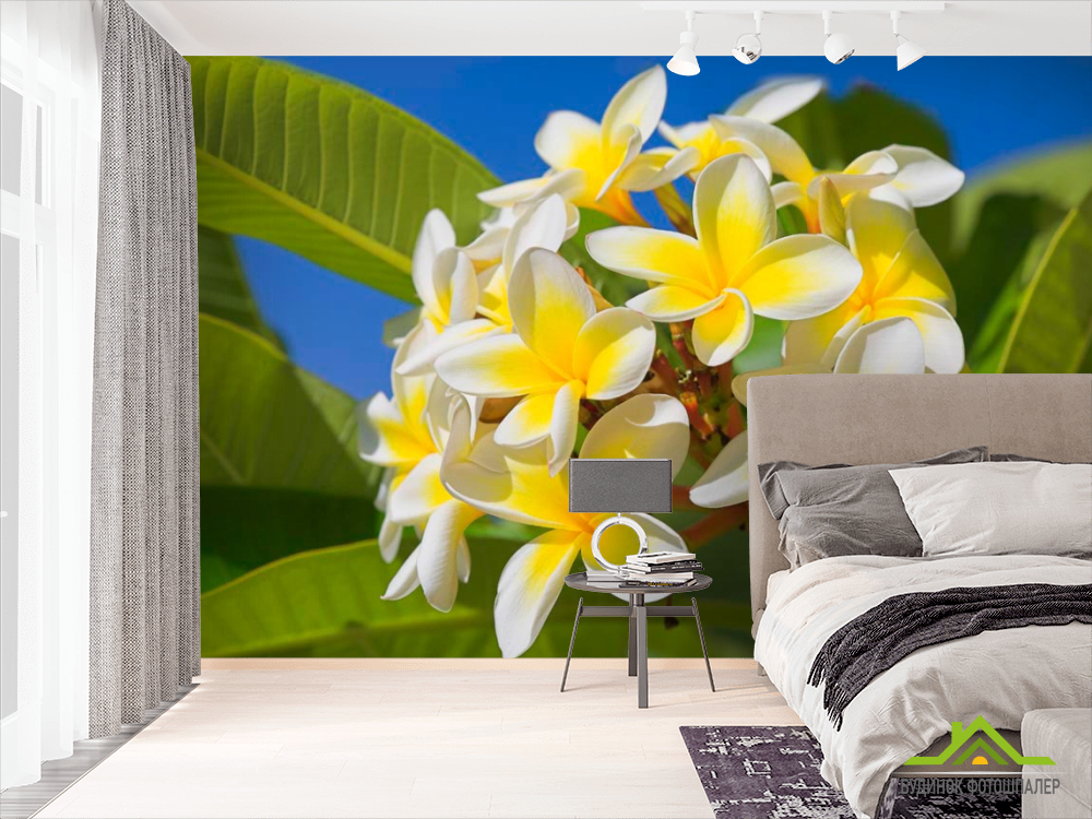 Фотошпалери Жовто-білі квіточки