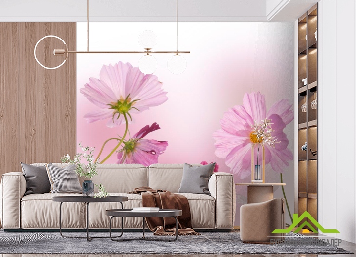 Фотошпалери Ромашки рожеві і малинові