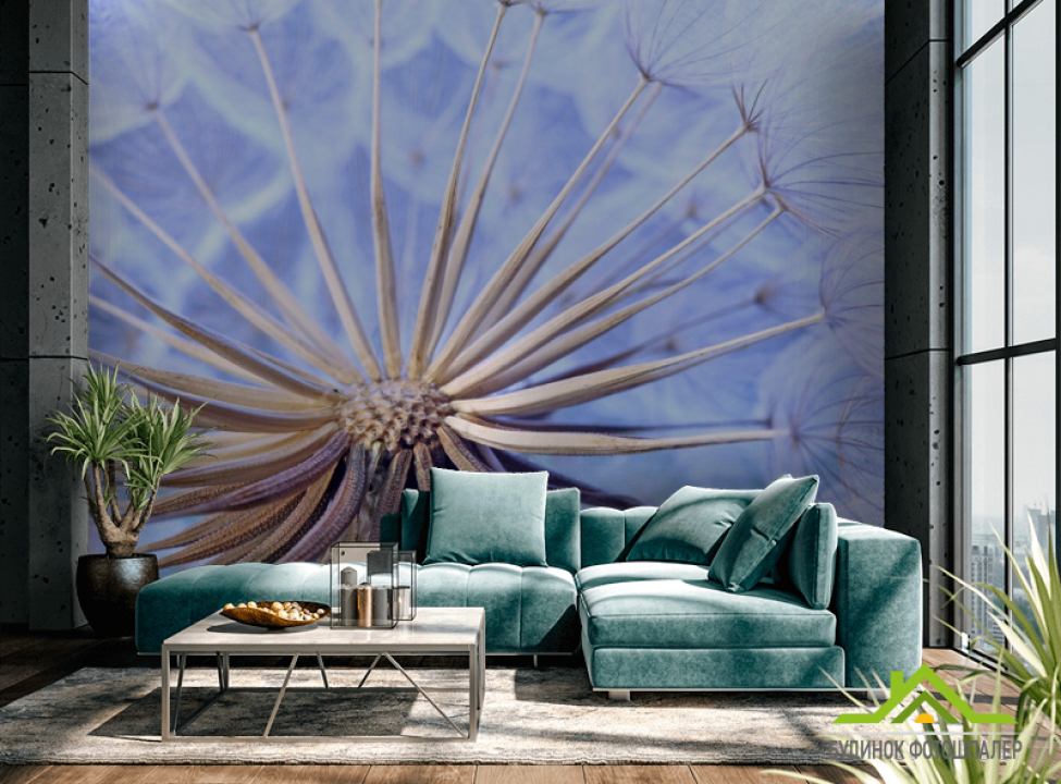 выбрать Фотошпалери в середині кульбаби Фотошпалери Квіти на стіну