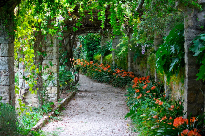 Фотошпалери Зелена вулиця