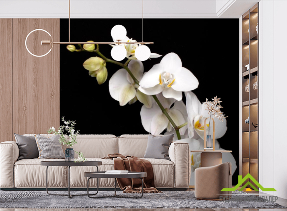 выбрать Фотообои веточка белой орхидеи на черном фоне Фотообои Цветы на стену