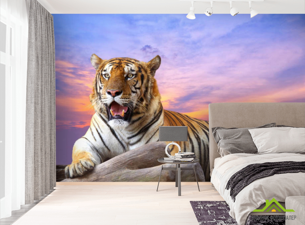 выбрать Фотошпалери тигр Фотошпалери різні на стіну
