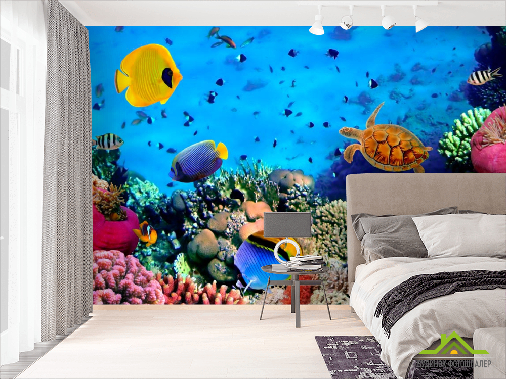 Фотошпалери Підводний світ. Краси.