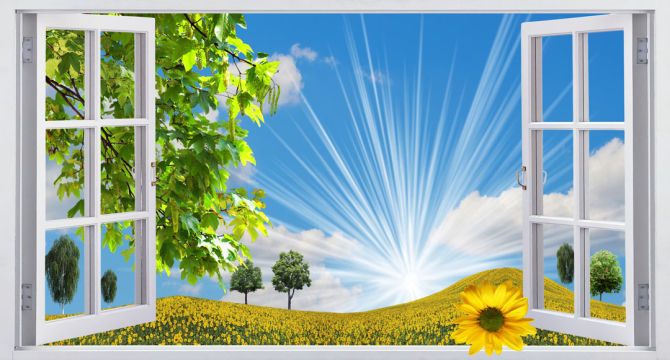 Фотообои Вид из окна на небо