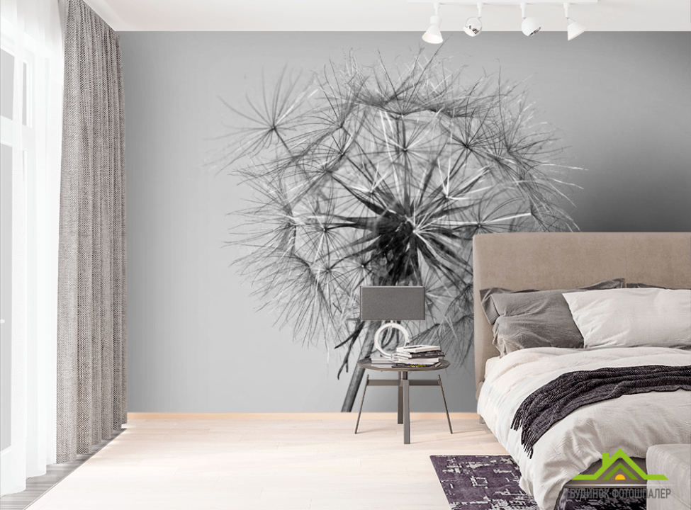 выбрать Фотообои черно-белый одуванчик Фотообои Одуванчики на стену