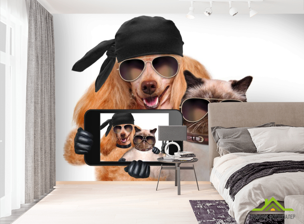 выбрать Фотообои кот с собакой делают селфи  на стену