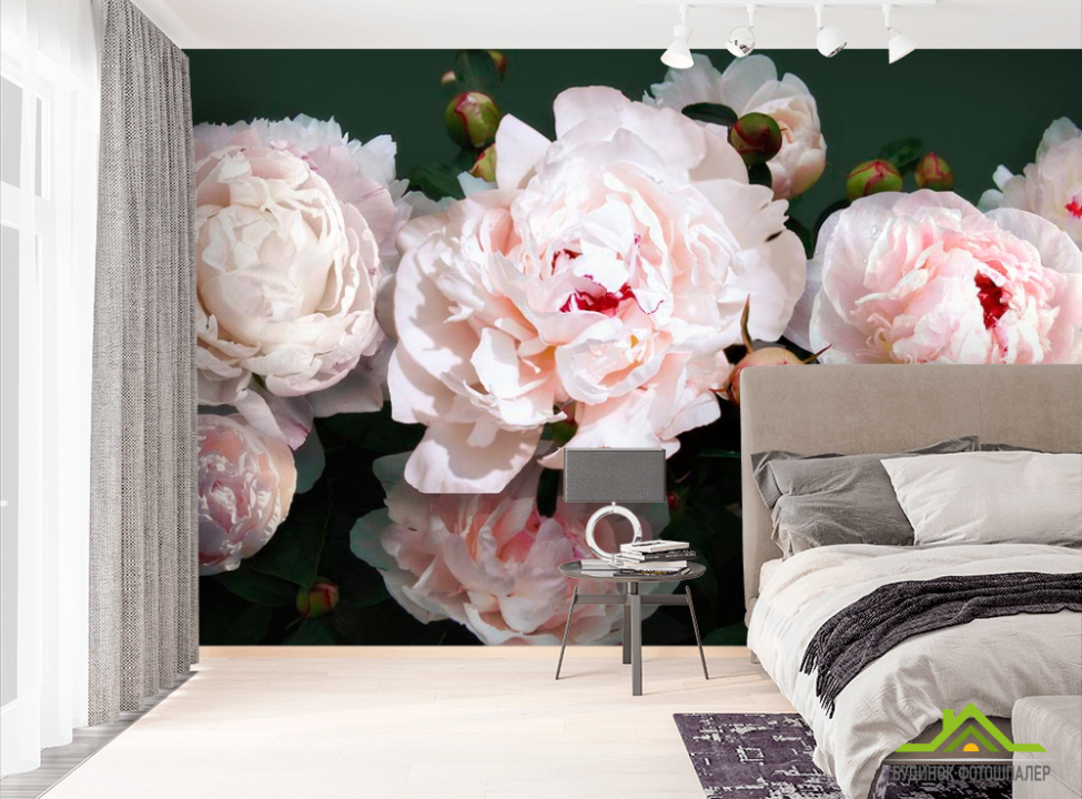 выбрать Фотообои Пионы Фотообои Цветы на стену
