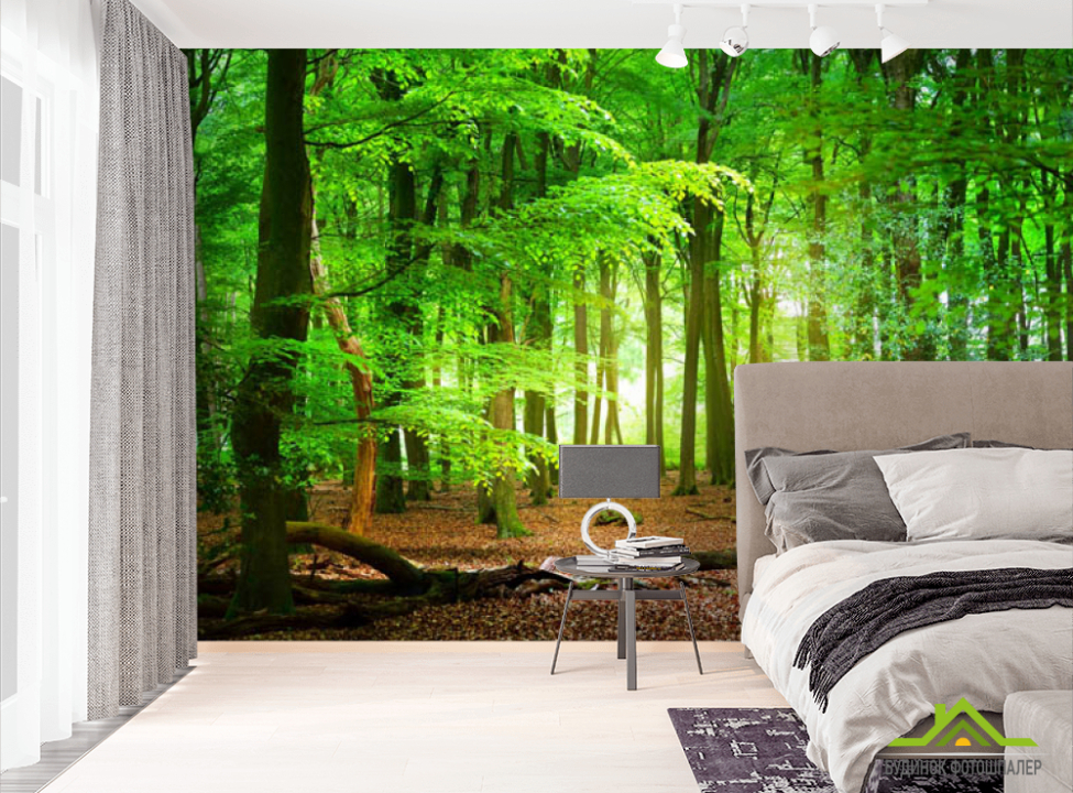 выбрать Фотошпалери ліс Фотошпалери різні на стіну