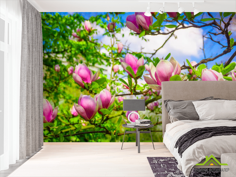 Фотообои магнолии розовые на деревьях