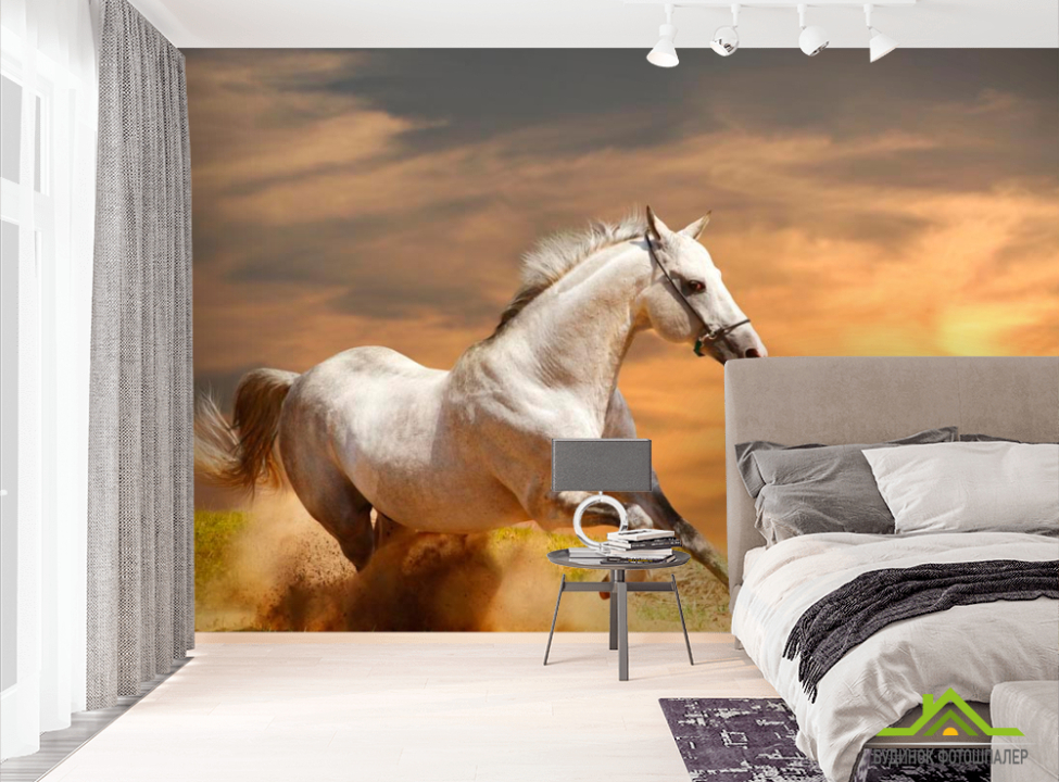 выбрать Фотообои Бегущий конь Фотообои Лошади на стену