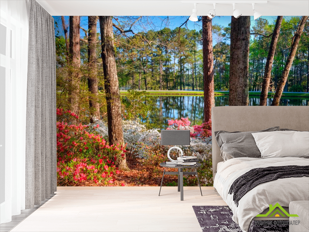 Фотошпалери Сосновий ліс, вода
