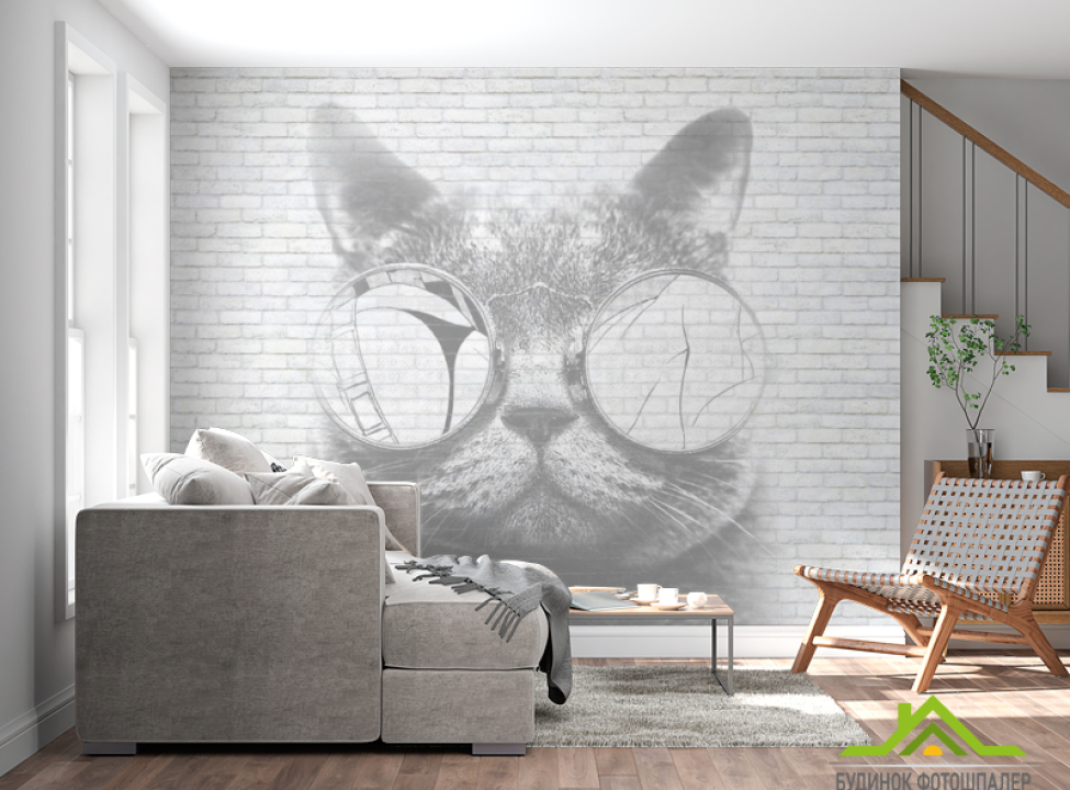 выбрать Фотообои Кот лофт стиль Фотообои лофт на стену