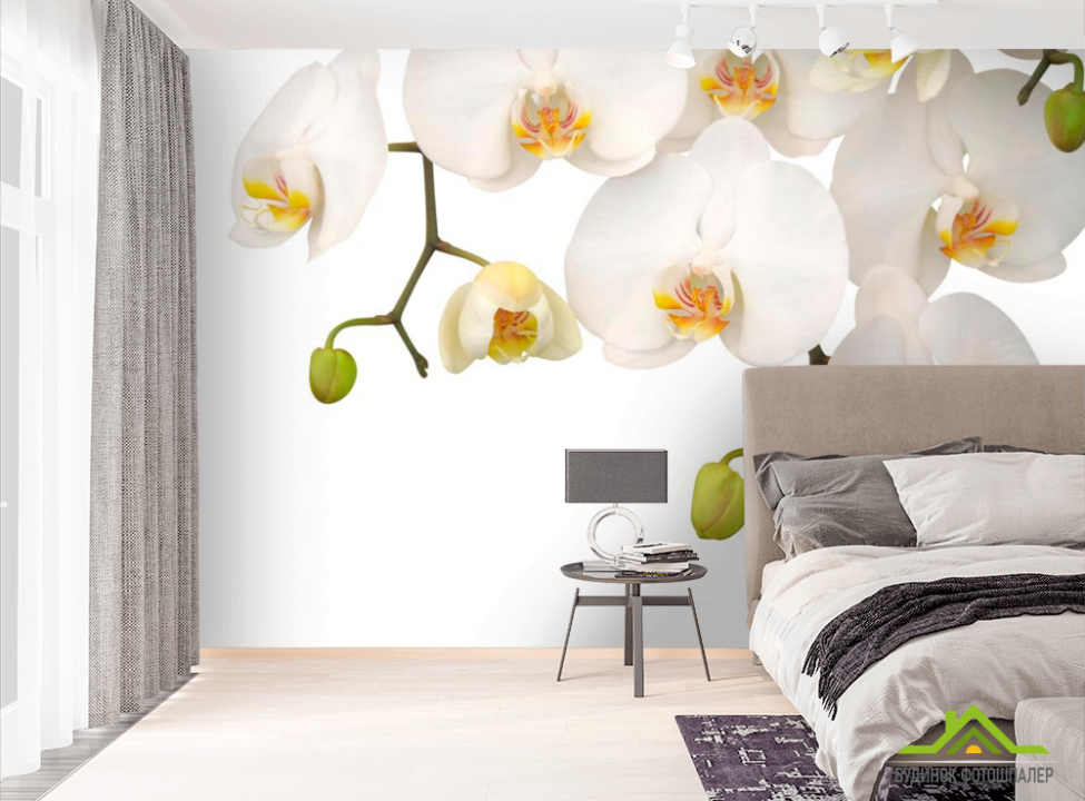 выбрать Фотообои Орхидеи белые и бутоны Фотообои Орхидеи на стену