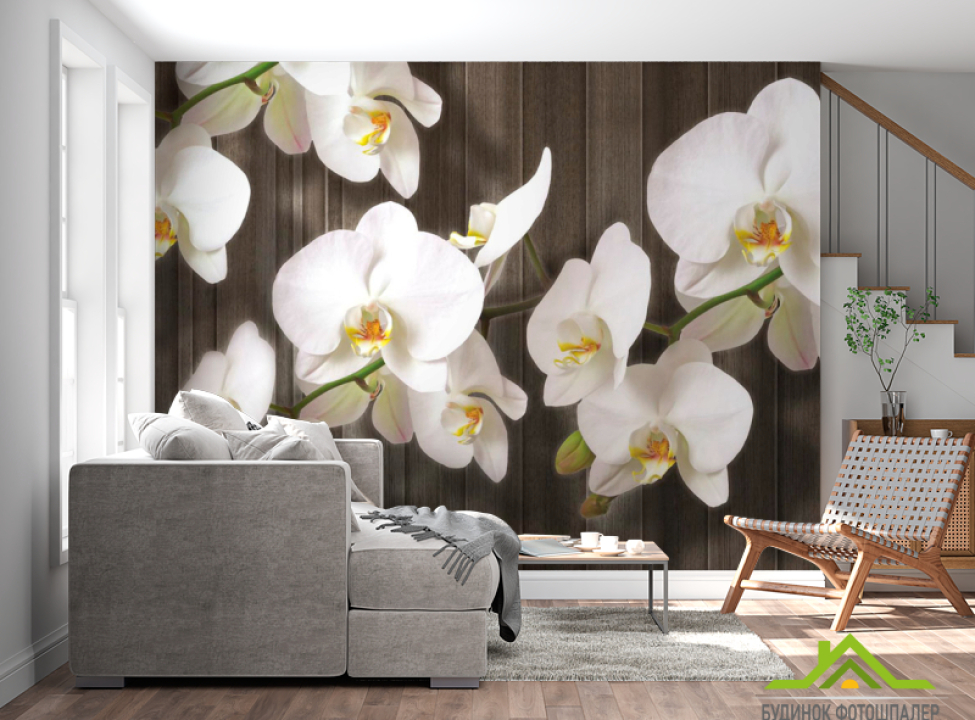 выбрать Фотошпалери Білі орхідеї на дереві Фотошпалери Квіти на стіну