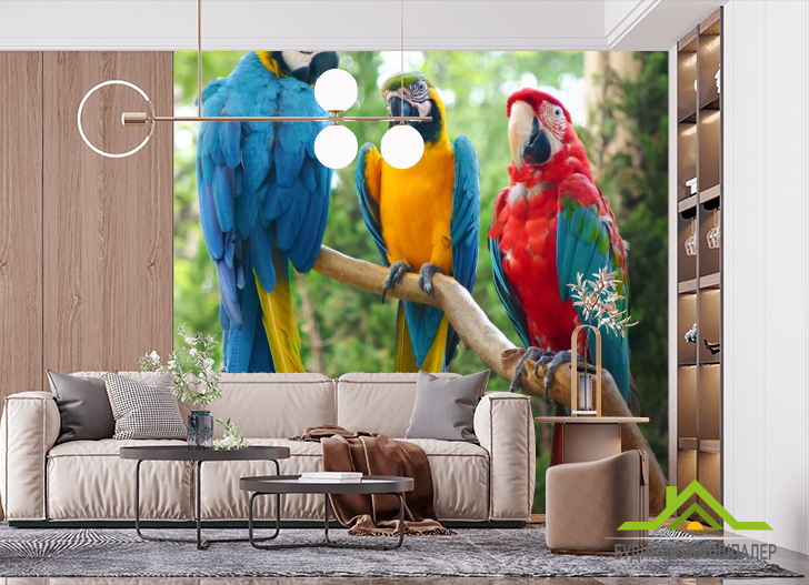 Фотошпалери три папугу